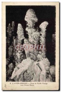 Old Postcard Cave Caves Aven Armand In the virgin forest The cauliflower