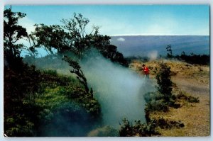 National Park Hawaii Postcard Steam Crack Island Of Hawaii Kilauea Volcano c1960