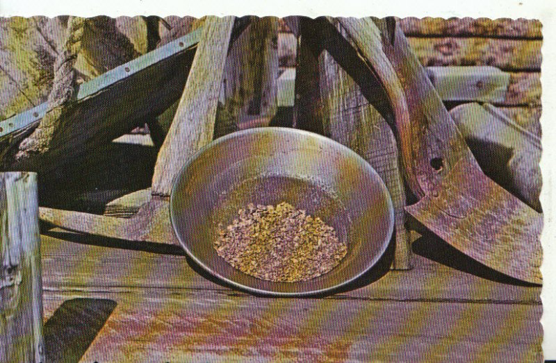 Canada Postcard - A Pan of Real Gold Nuggets - Dawson City - Yukon - Ref 17289A