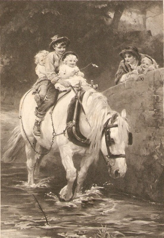 Children driving a white horse through a stream Old vintage English postcard