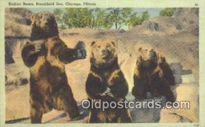 Brookfield Chicago, Ill, USA Bear Postcard