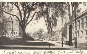 Springfield Massachusetts MA, 1907 State Street View Trees Apartments Postcard