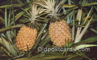 Pineapple Growing Farming Writing on back 
