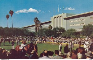 Horse Race Track , Santa Anita , ARCADIA , California , 1950-60s