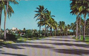 Florida Boca Raton Lovely Palm Lined Camino Real In Boca Raton
