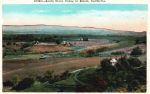 California, Santa Clara Valley in Bloom Grounds Farmhouse Vintage Postcard