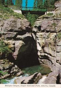 Canada Maligne Canyon Jasper National Park