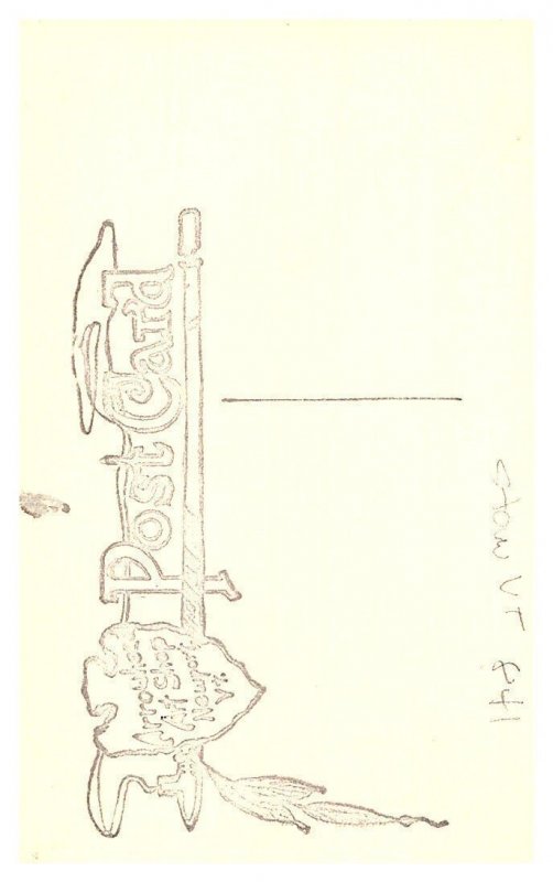 Vermont Stowe  , Bingham Falls RPPC