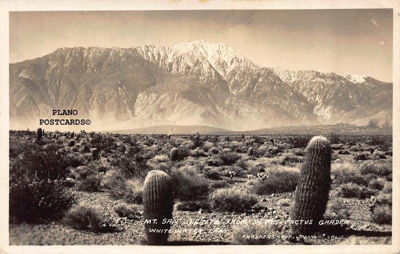 WHITE WATER, CALIFORNIA MT. SAN JACINTO RPPC REAL PHOTO POSTCARD