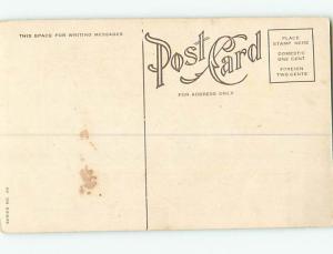 Unused Divided-Back VIOLET POEM WITH BEAUTIFUL VIOLET FLOWERS o9708