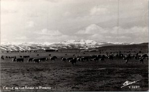 Vtg Cattle on the Range in Wyoming WY RPPC Real Photo Sanborn Postcard