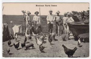 Mexican Farm Scene Mexico 1910s postcard