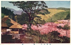 Vintage Postcard 1920's Nature Japanese Cherry Blossoms Trees Mountains Japan