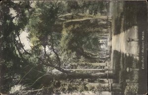 Andover Massachusetts MA Elm Tree Arch Scenic c1900s-20s Postcard