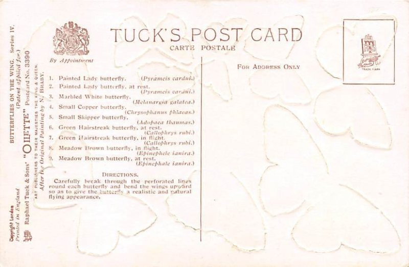 Butterflies Butterflies