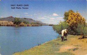 Salt Flats Cafe - Salt Flats, Texas TX  