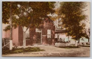 Harmony Grove MD Brockton Orchards Tea House Hand Colored Maryland Postcard W22