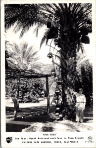 Frashers Real Photo Postcard Your Tree Shields Date Gardens in Indio, California