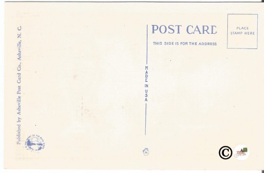 A Pretty Mountain Water-Fall Asheville Post Card Co North Carolina Vintage Linen