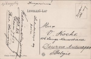 Hungary Pécs Castle Vintage Postcard C096