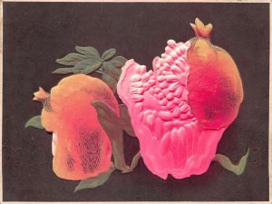 Japanese Fruit Fig Embossed Food Vintage Postcard AA64483