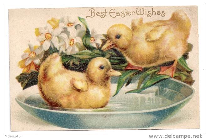 Embossed Easter Postcard Ducklings in Bowl of Water Narcissus c 1910 IAP Germamy