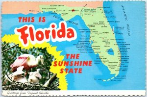 Postcard - The Sunshine State - Greetings from Tropical Florida