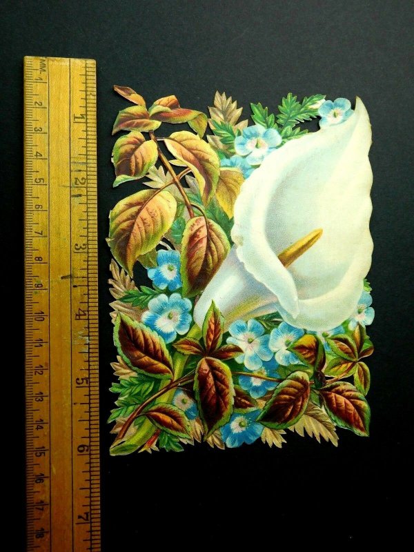 Fabulous Big White Lily Blue Flowers Intricate Victorian Die Cut Superb L3 