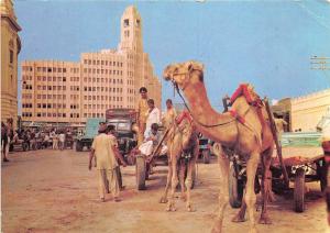 BG21081 camel carts larachi types folklore pakistan