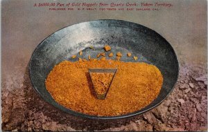 Pan of Gold Nuggets from Quartz Creek Yukon YT Unused Mitchell Postcard H61