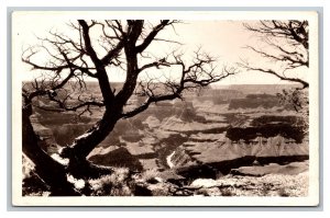 RPPC Grand Canyon National Park Arizona c1945 Real Photo Postcard