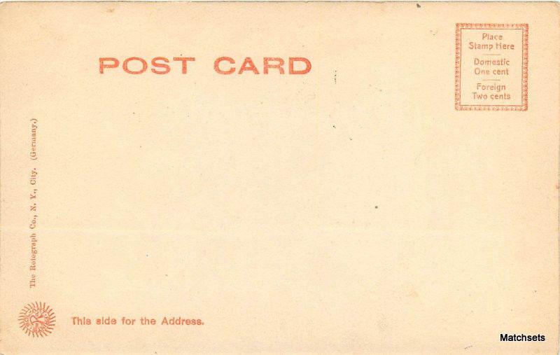 BATTLE CREEK MICHIGAN Mc Calmy Park Undivided Rotograph postcard 100733