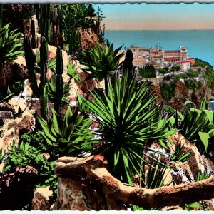 c1930s Monaco RPPC Exotic Garden La Cote d'Azur Le Rocher Cacti Succulents A348