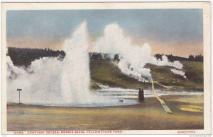 Scenic view, Constant Geyser,Norris Basin,Yellowstone Park,Wyoming,00-10s