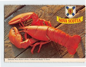 Postcard Delicious Nova Scotia Lobster, Cooked and Ready To Serve, Canada