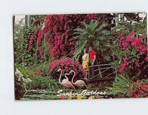 Postcard A young couple stroll leisurely through romantic Sunken Gardens, FL
