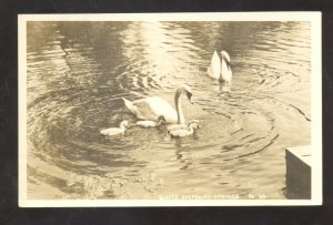 RPPC WHITE SULPHUR SPRINGS WEST VIRGINIA SWANS VINTAGE REAL PHOTO POSTCARD