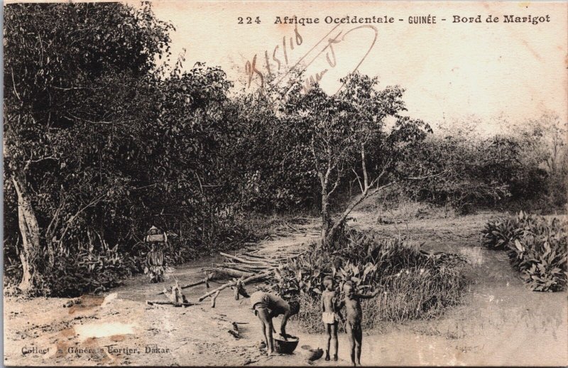 Guinea Afrique Occidentale Guinée Bord de Marigot Natives Vintage Postcard C261