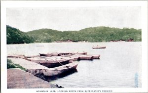 Mountain Lake, Looking North from Backenmyer's Pavilion NJ Vintage Postcard M61