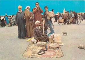 Charmeurs de Serpents Marakech Morrocan Snake Charmers