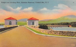 Bridge at Dividing Weir Ashokan Reservoir, New York