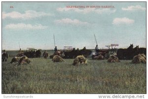 Harvesting Scene In South Dakota