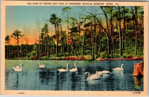 Postcard ANIMAL SCENE Newport News Virginia VA AM6430