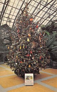 Educational Christmas Tree Cincinnati, Ohio, USA Unused 