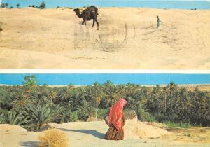 BG9362 le sud women camel types folklore   tunisia