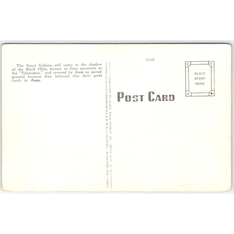 Postcard Sioux Indian Camp Black Hills South Dakota Native American