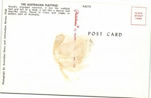 australia, The Australian Platypus (1960s)