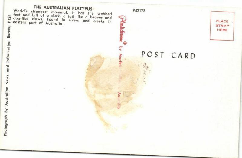 australia, The Australian Platypus (1960s)