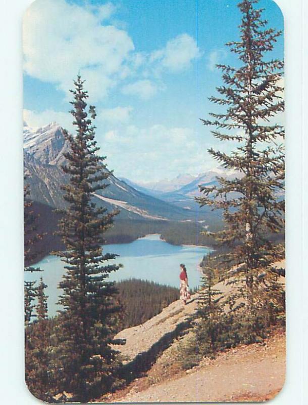 Unused Pre-1980 TOWN VIEW SCENE Banff Alberta AB p9068