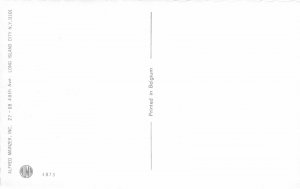 G91/ Dressed Cats Alfred Mainzer Postcard c1940s Bread Store Bakery 31